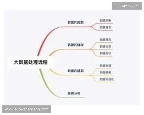 必赢网址的选择指南:如何找到最适合你的在线平台